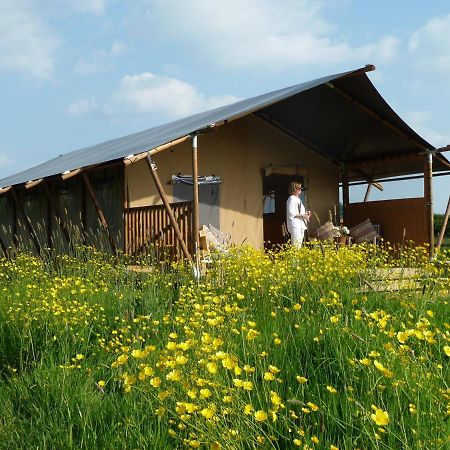 Tall Trees Glamping Baltonsborough Exteriér fotografie