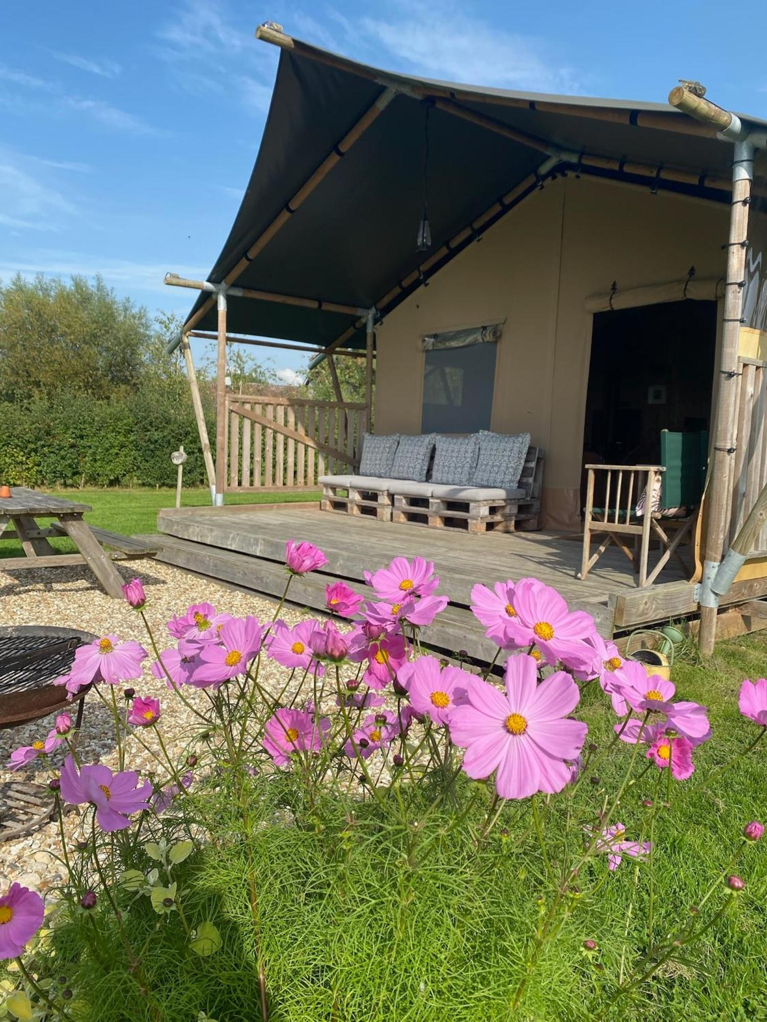 Tall Trees Glamping Baltonsborough Exteriér fotografie