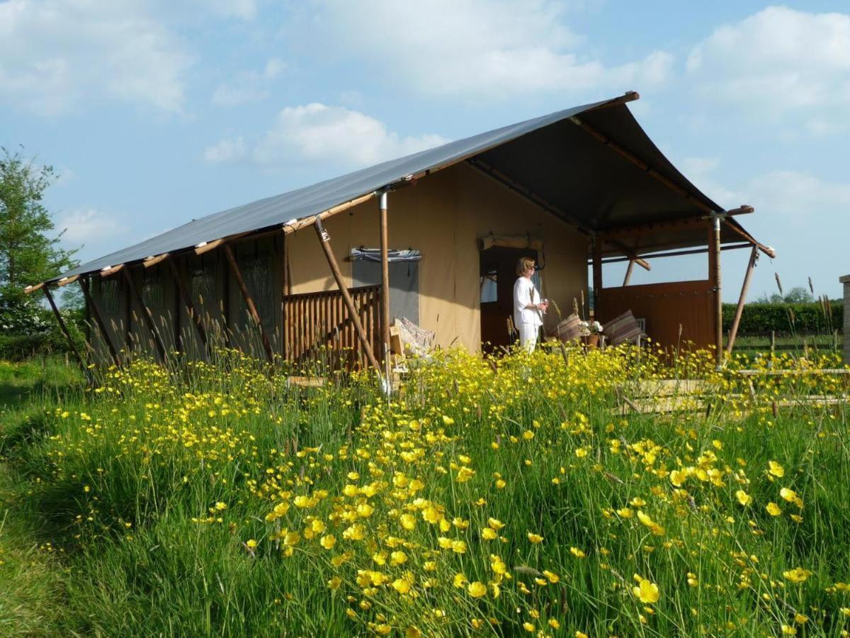 Tall Trees Glamping Baltonsborough Exteriér fotografie